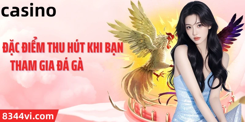 Hình ảnh quảng cáo của daga hiển thị nền tảng và các lợi ích
